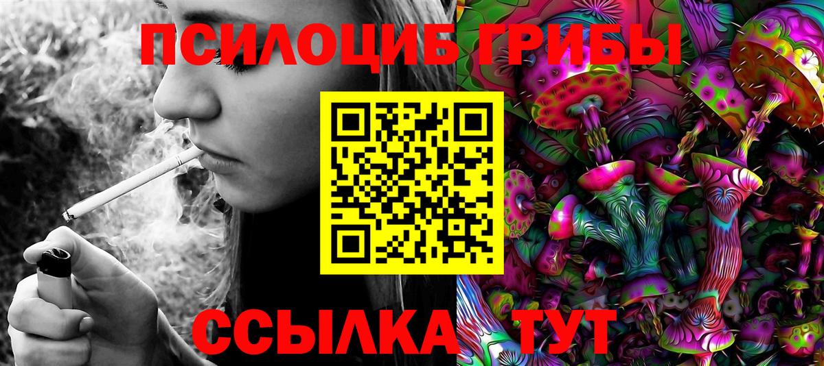 Галлюциногенные грибы MAGIC MUSHROOMS  Вход с VPN  Новосибирск 